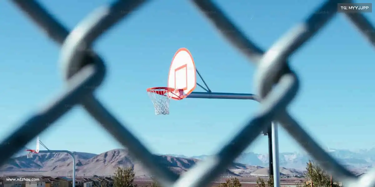 行业领先的理由